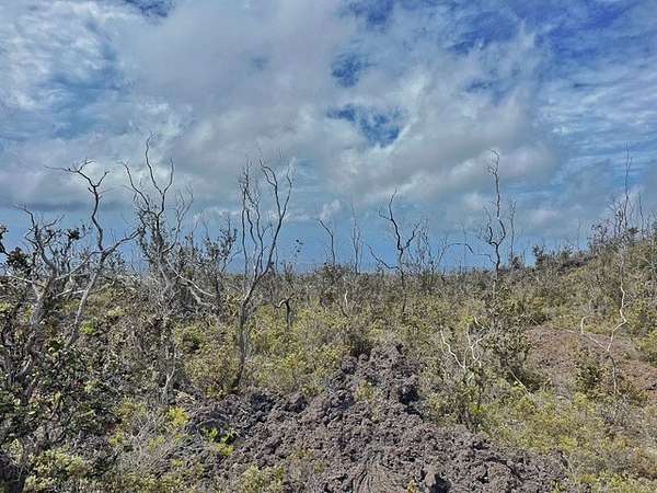 1 Acre of Land for Sale in Hawaiian Ocean View, Hawaii