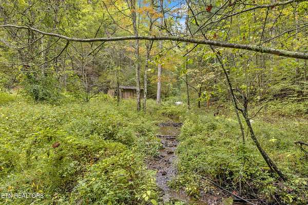 42.4 Acres of Recreational Land for Sale in Vonore, Tennessee