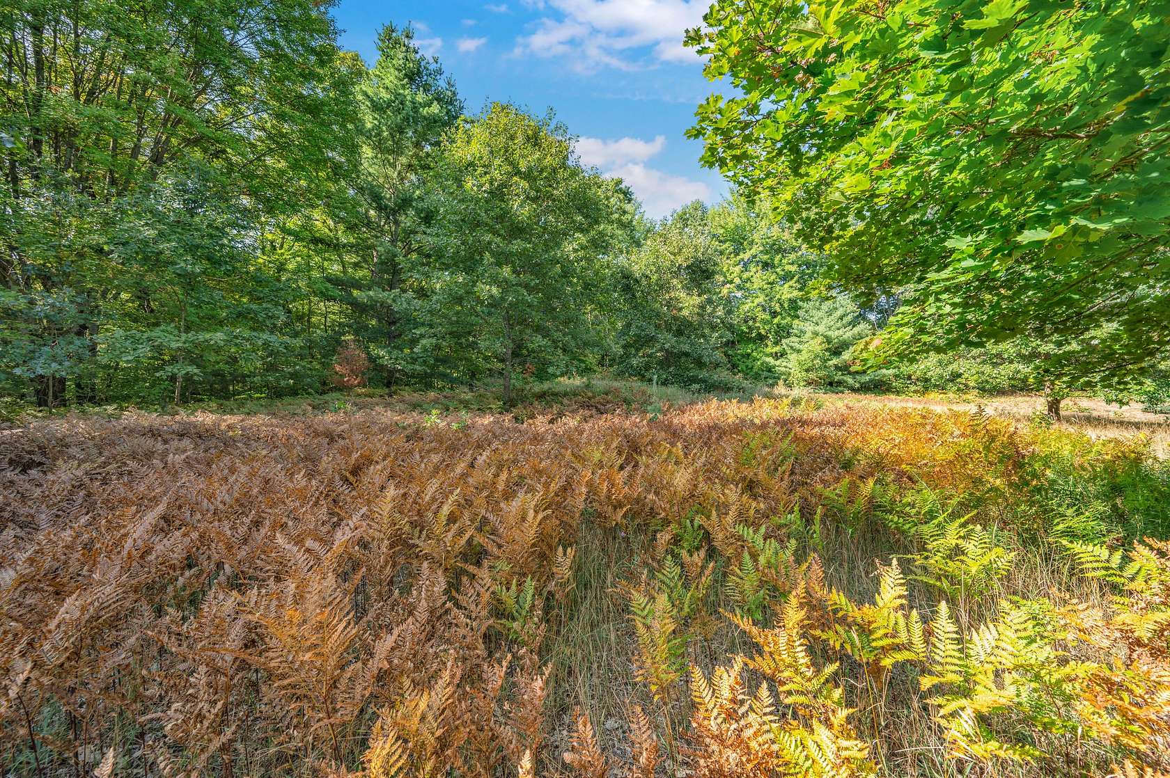 0.3 Acres of Residential Land for Sale in Big Rapids, Michigan