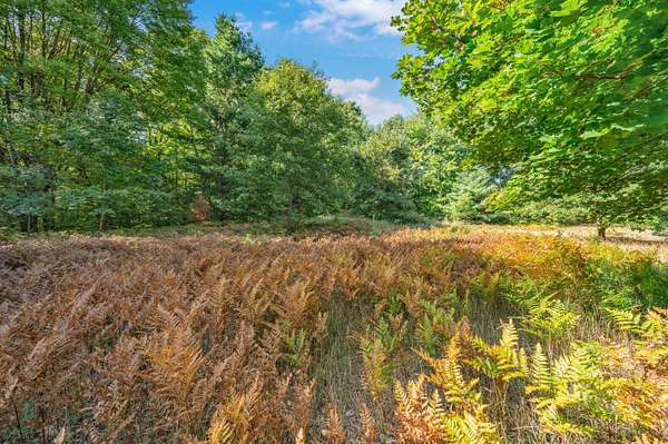 0.3 Acres of Residential Land for Sale in Big Rapids, Michigan