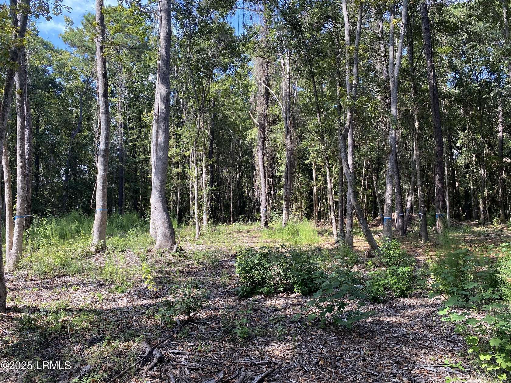 2 Acres of Residential Land for Sale in Saint Helena Island, South Carolina