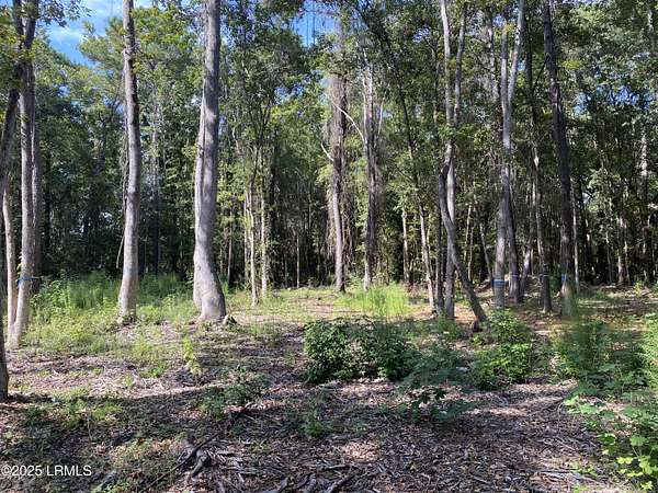 2 Acres of Residential Land for Sale in Saint Helena Island, South Carolina