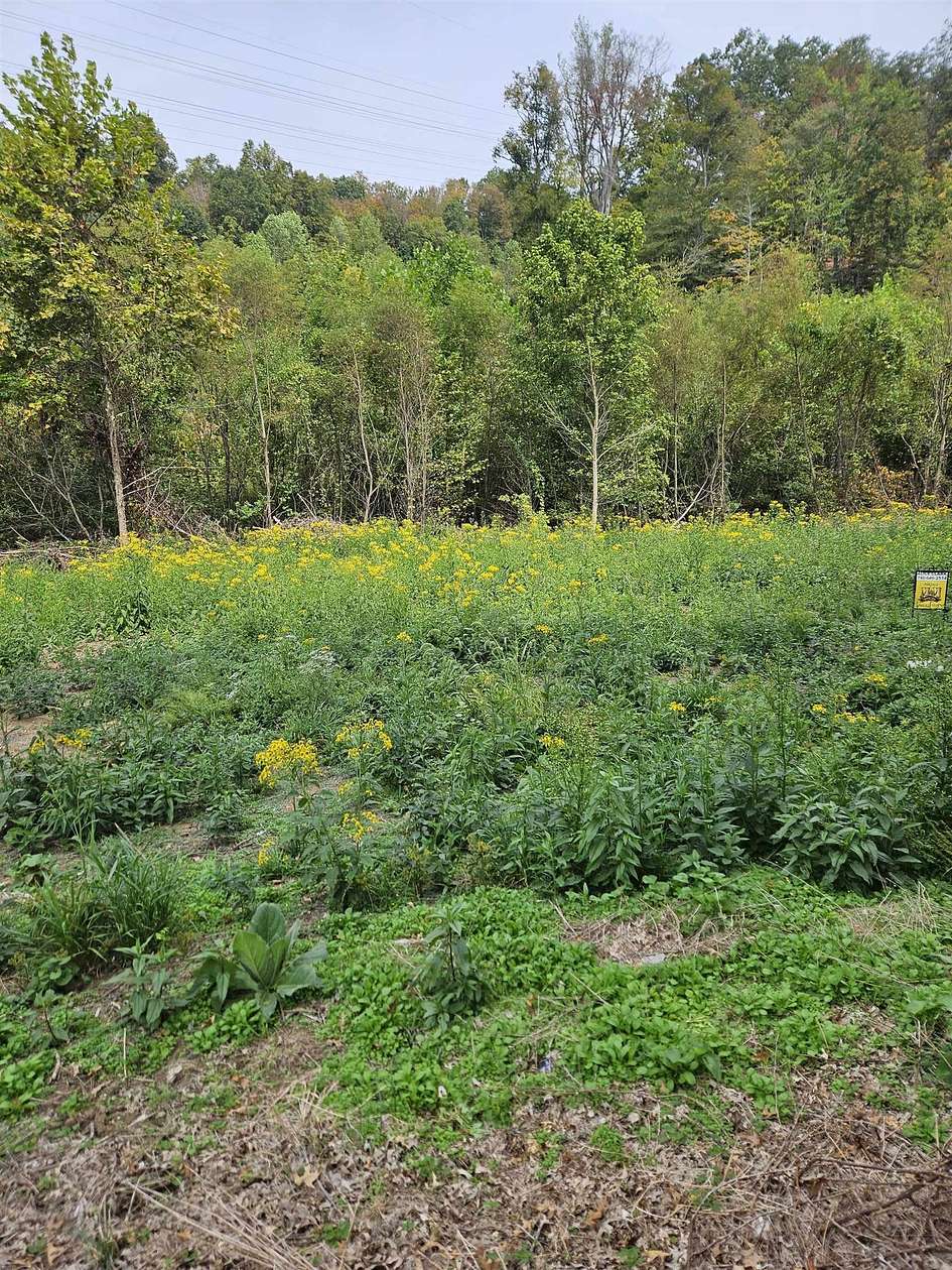 0.35 Acres of Residential Land for Sale in South Point, Ohio