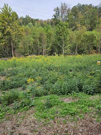 0.35 Acres of Residential Land for Sale in South Point, Ohio