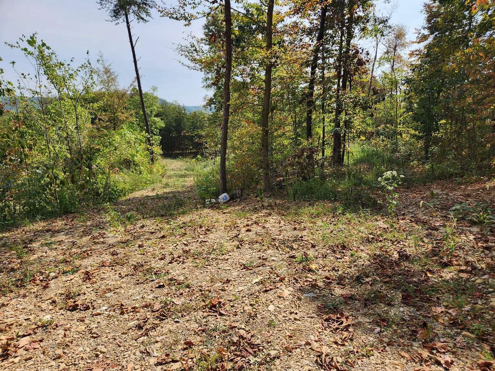 4 Acres of Land for Sale in Wallingford, Kentucky