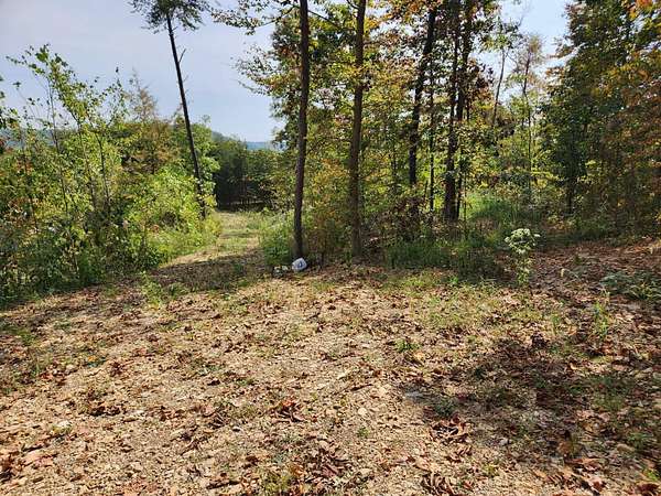 4 Acres of Land for Sale in Wallingford, Kentucky