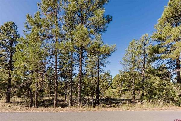 0.32 Acres of Residential Land for Sale in Pagosa Springs, Colorado