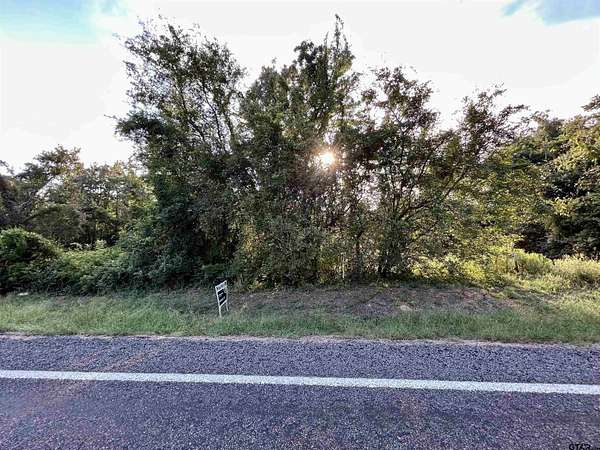 2.74 Acres of Residential Land for Sale in Leesburg, Texas