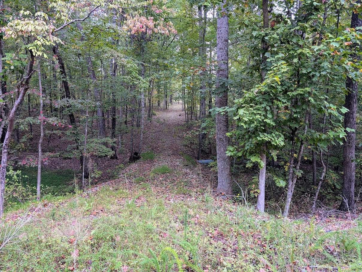 6 Acres of Residential Land for Sale in Altamont, Tennessee