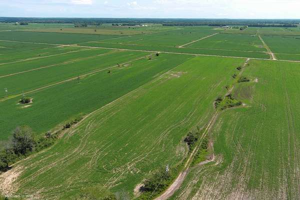 40 Acres of Recreational Land & Farm for Sale in Bridgeport, Illinois