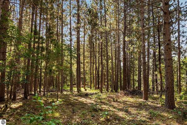 5 Acres of Residential Land for Sale in Grayling, Michigan