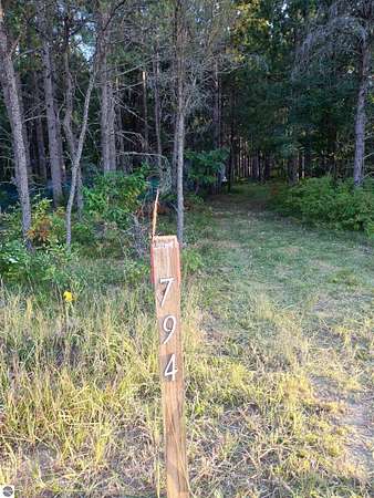 5 Acres of Residential Land for Sale in Grayling, Michigan