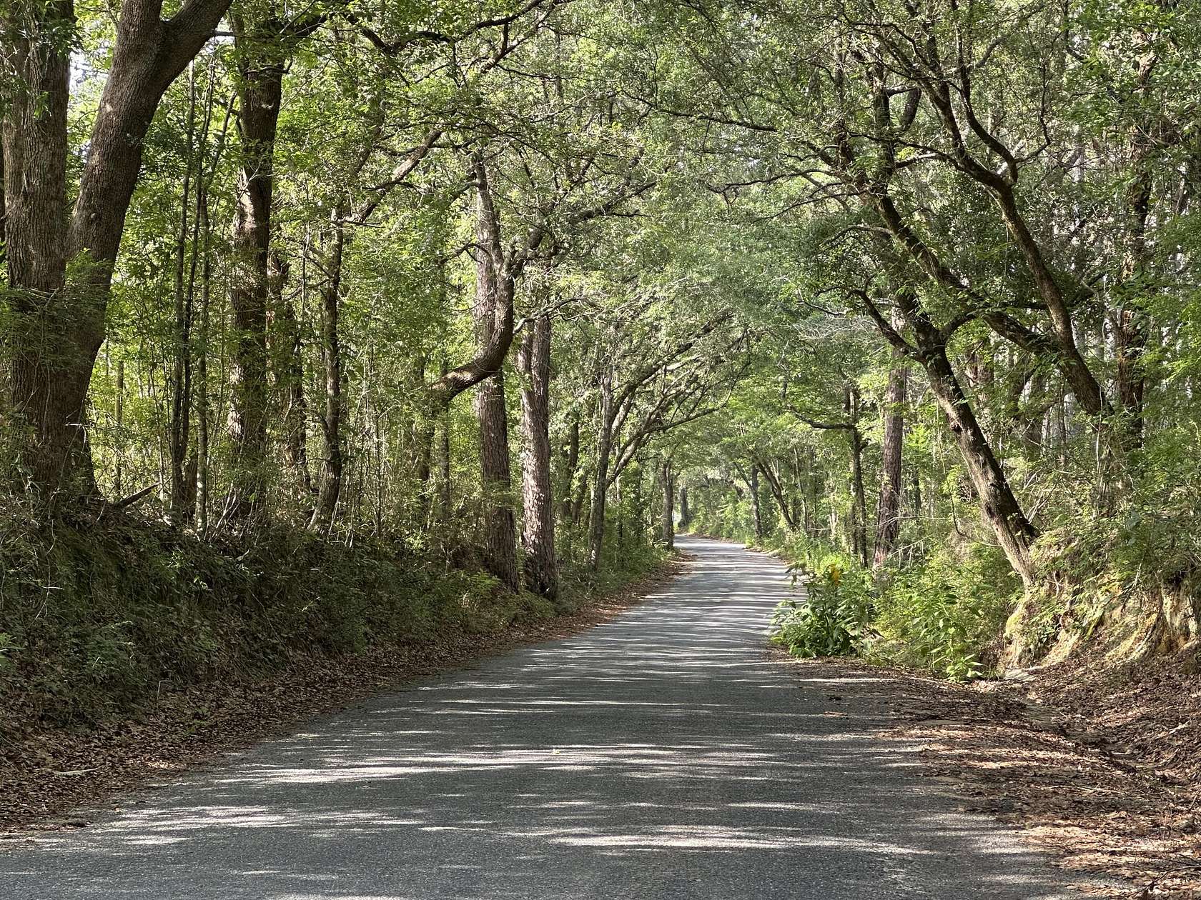 80 Acres of Recreational Land for Sale in Baker, Florida