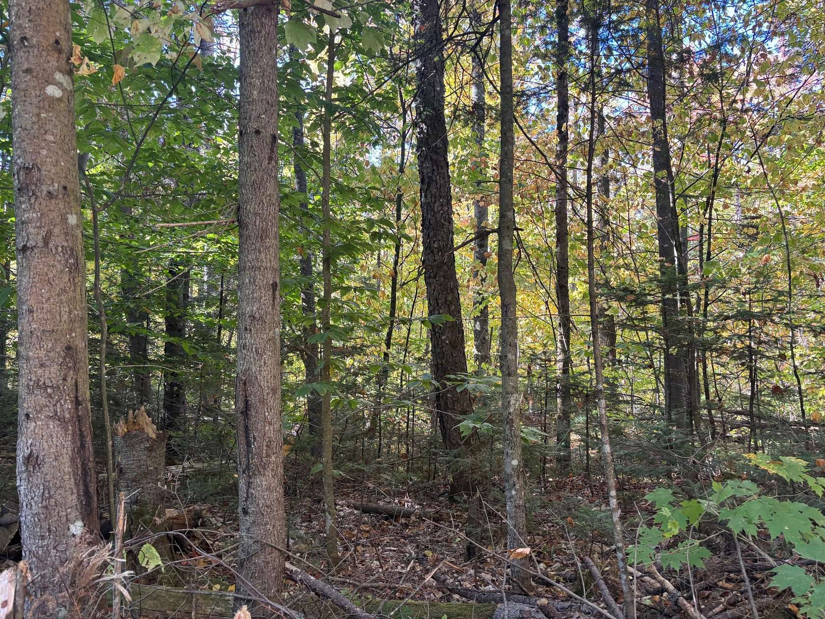 0.45 Acres of Land for Sale in Newry, Maine
