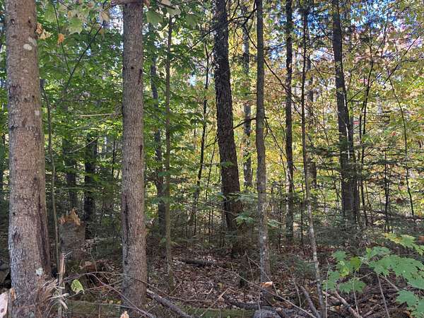 0.45 Acres of Land for Sale in Newry, Maine