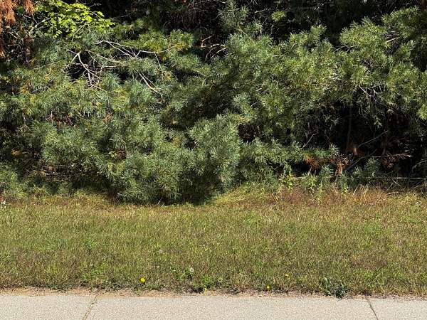 Land for Sale in Gaylord, Michigan