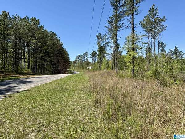 10 Acres of Residential Land for Sale in Roanoke, Alabama