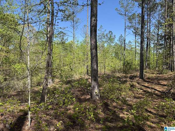 10 Acres of Residential Land for Sale in Roanoke, Alabama