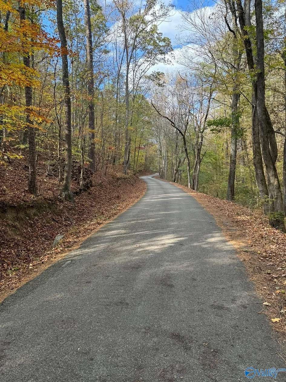 12.4 Acres of Land for Sale in Piedmont, Alabama