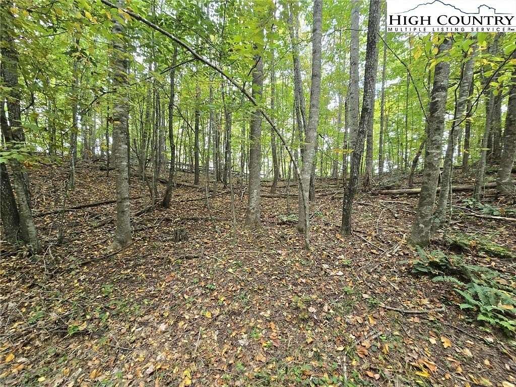 9.6 Acres of Residential Land for Sale in Lansing, North Carolina