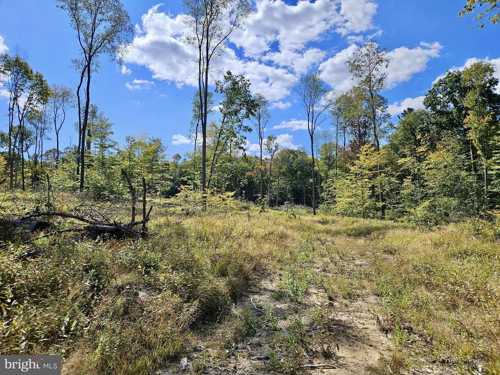 59 Acres of Recreational Land for Sale in Leeper, Pennsylvania