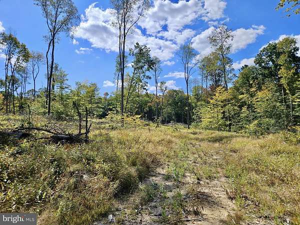 59 Acres of Recreational Land for Sale in Leeper, Pennsylvania