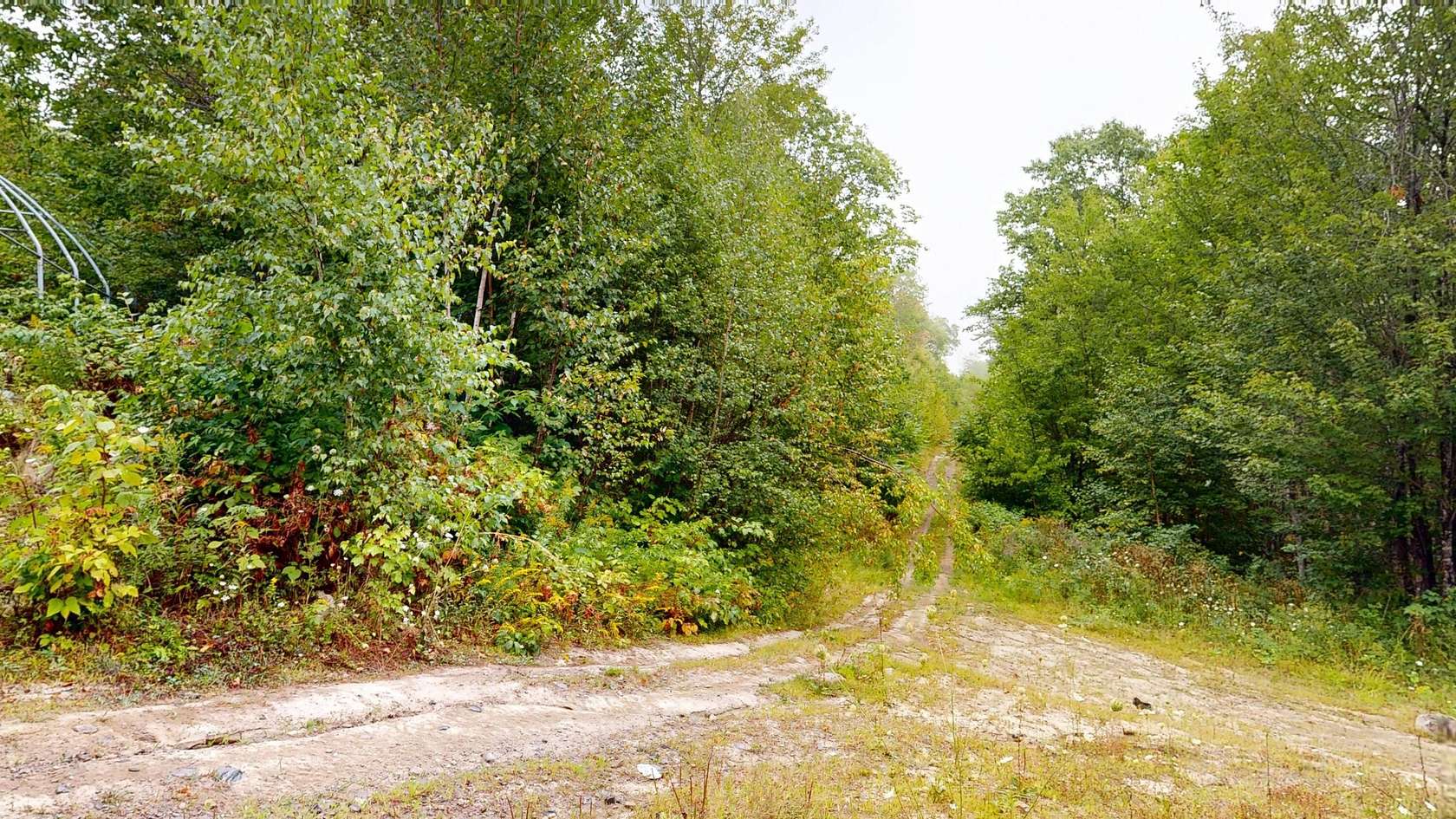 10.2 Acres of Land for Sale in Winterport, Maine