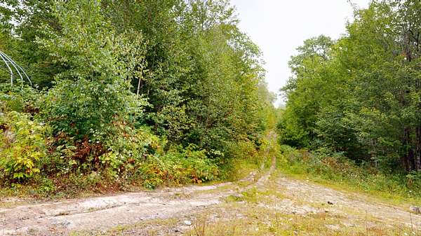 10.2 Acres of Land for Sale in Winterport, Maine