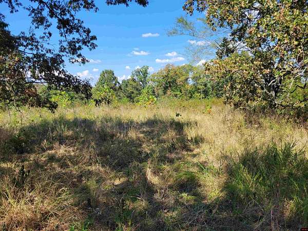 190 Acres of Recreational & Residential Land for Sale in Gainesville, Missouri
