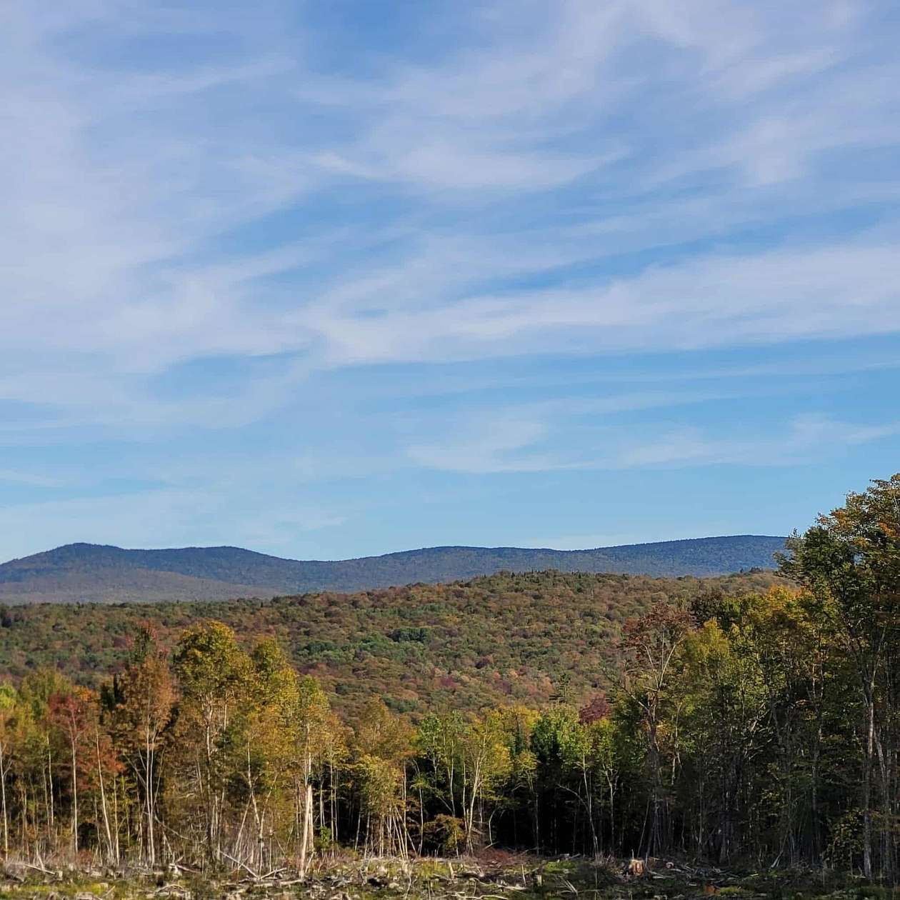 10.1 Acres of Recreational Land for Sale in Newark Town, Vermont