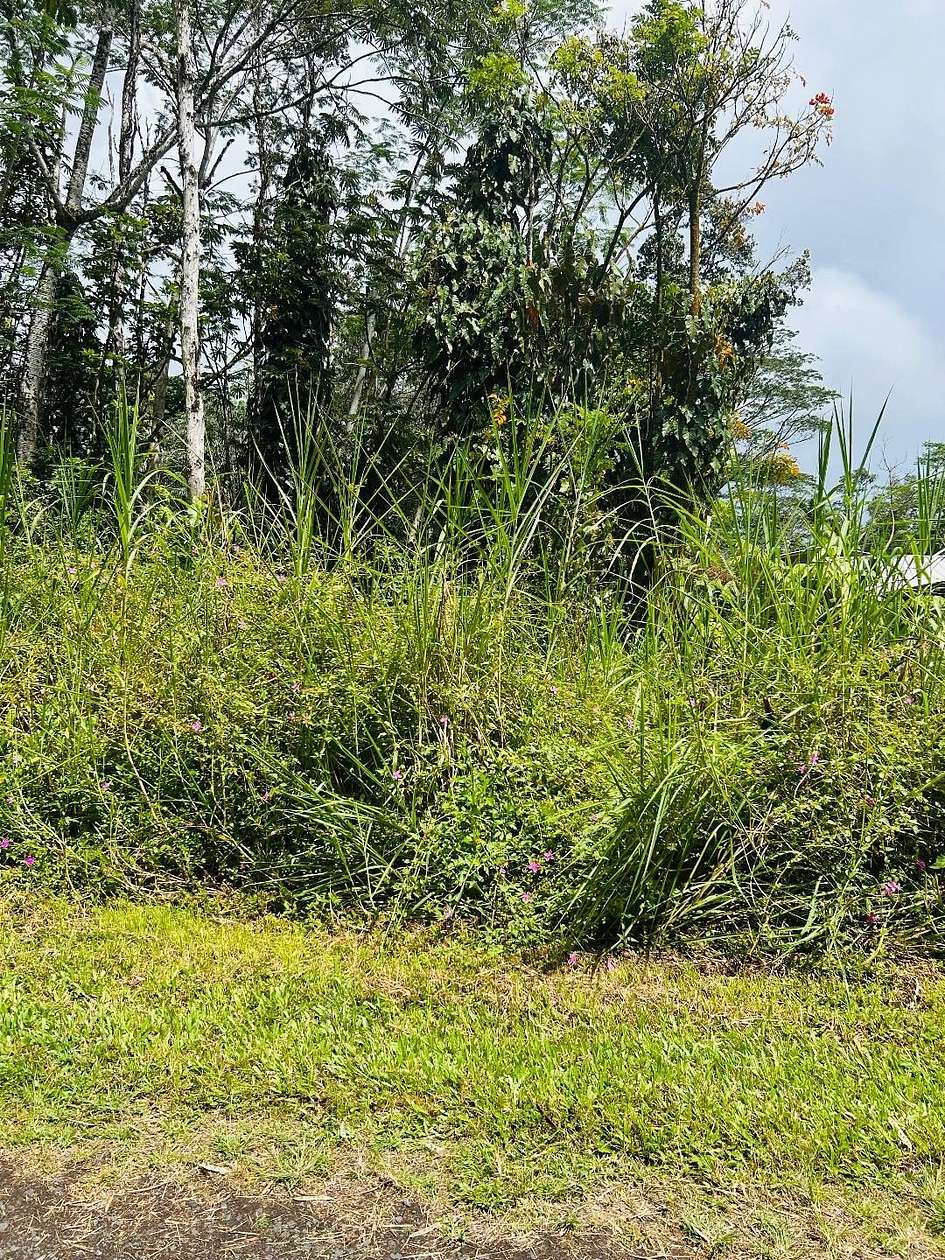 0.18 Acres of Residential Land for Sale in Pahoa, Hawaii