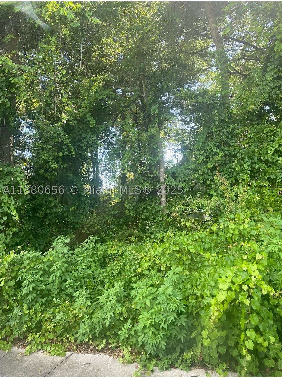 0.21 Acres of Residential Land for Sale in Summerfield, Florida