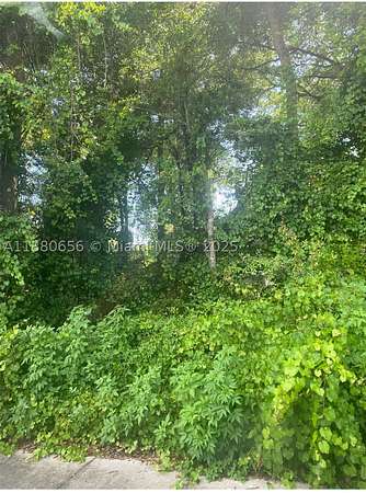 0.21 Acres of Residential Land for Sale in Summerfield, Florida