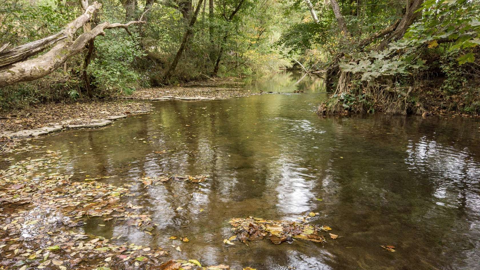 103 Acres of Recreational Land for Sale in Beechgrove, Tennessee