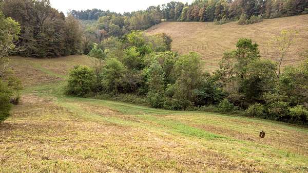 103 Acres of Recreational Land for Sale in Beechgrove, Tennessee
