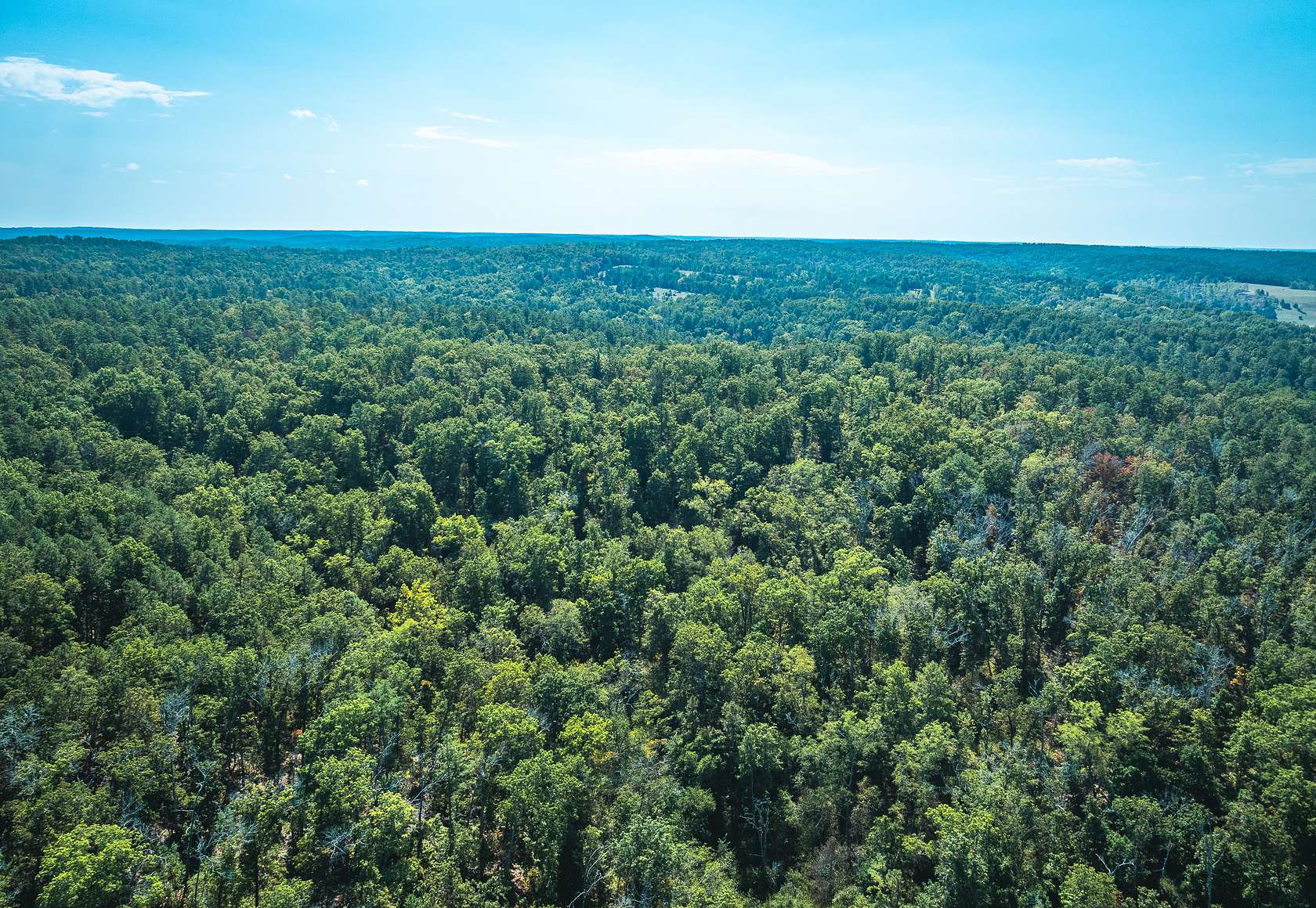 139 Acres of Recreational Land & Farm for Sale in Salem, Missouri