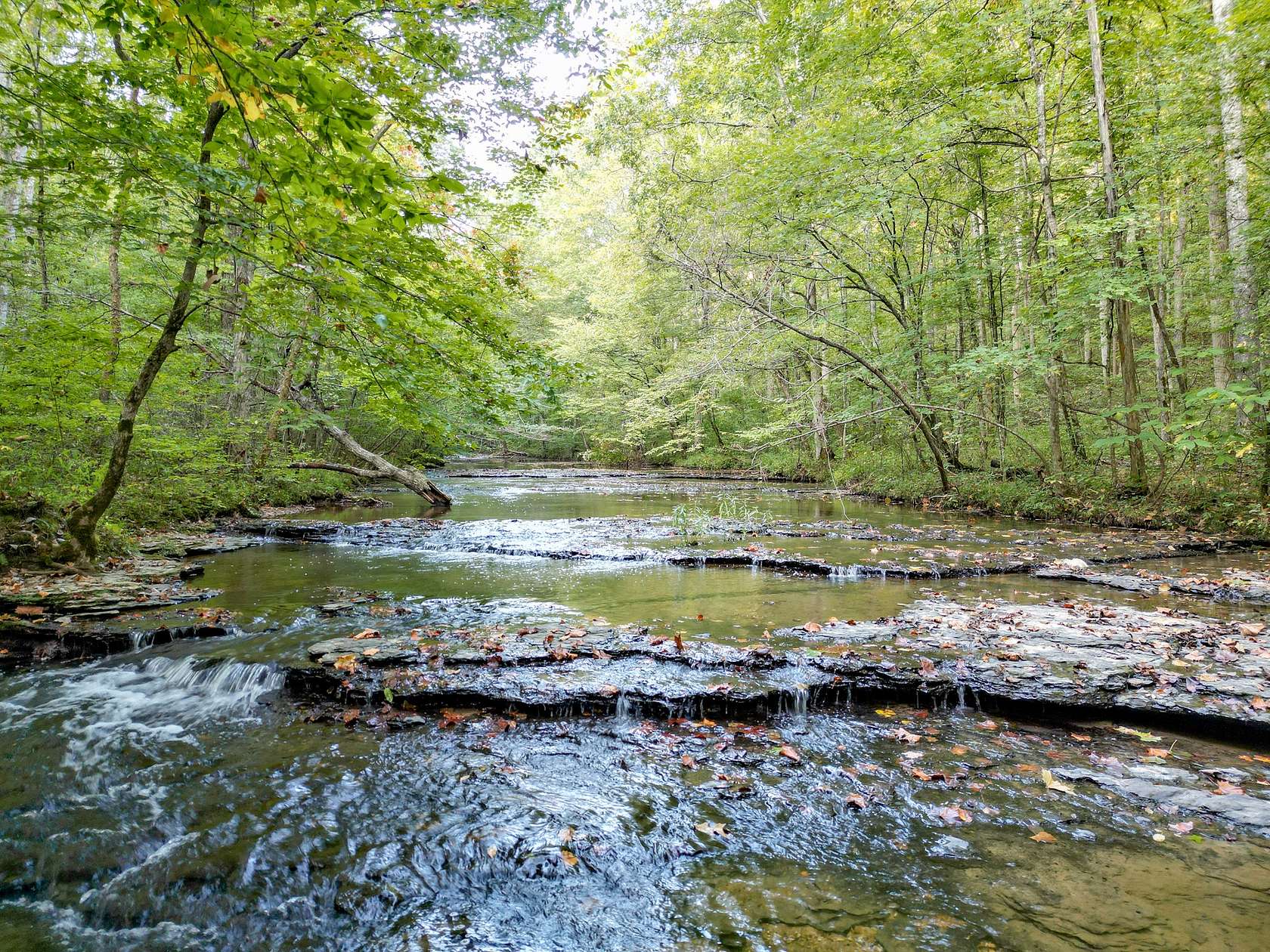 427 Acres of Recreational Land for Sale in Fairview, Tennessee