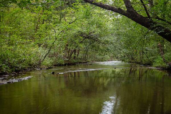 427 Acres of Recreational Land for Sale in Fairview, Tennessee