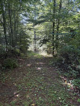 27.4 Acres of Recreational Land for Sale in Meadow Bridge, West Virginia