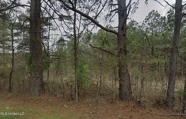 3 Acres of Residential Land for Sale in Terry, Mississippi