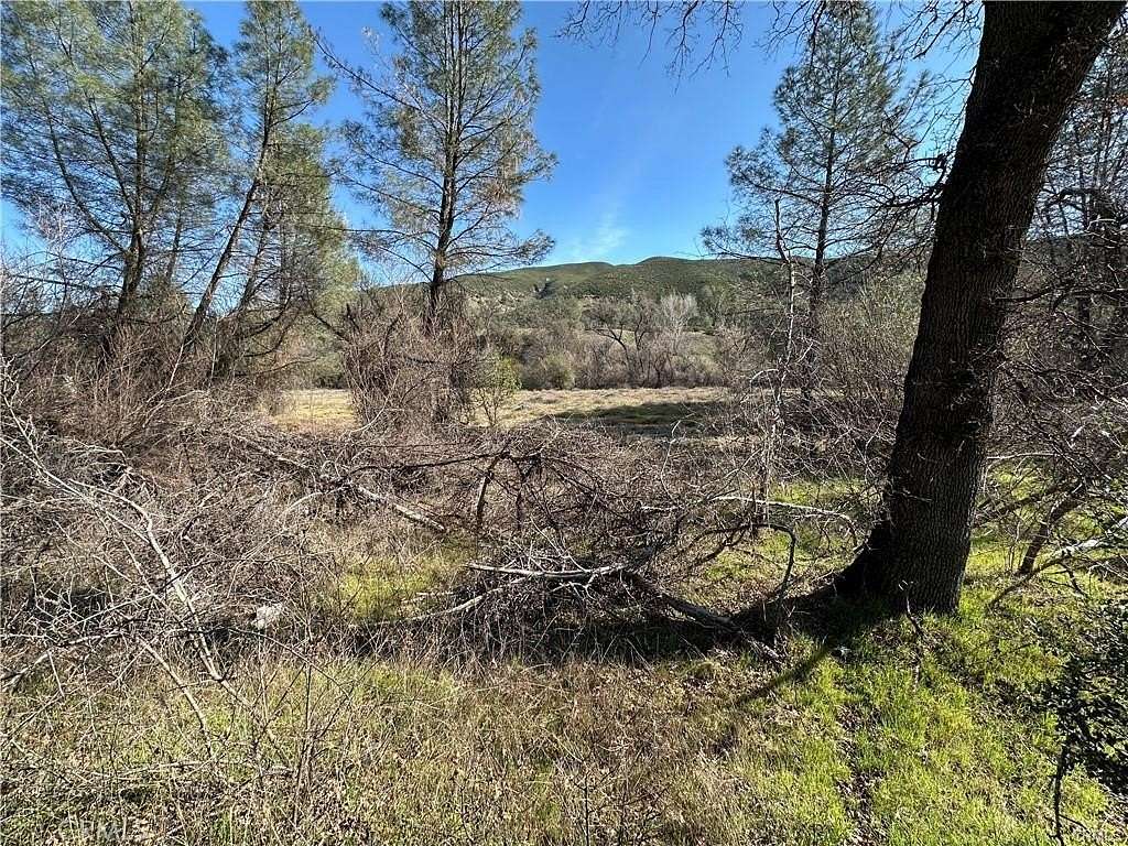 9.36 Acres of Land for Sale in Clearlake Oaks, California