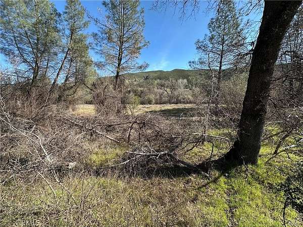 9.36 Acres of Land for Sale in Clearlake Oaks, California