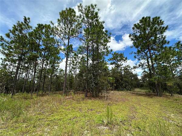 1 Acre of Residential Land for Sale in Dunnellon, Florida