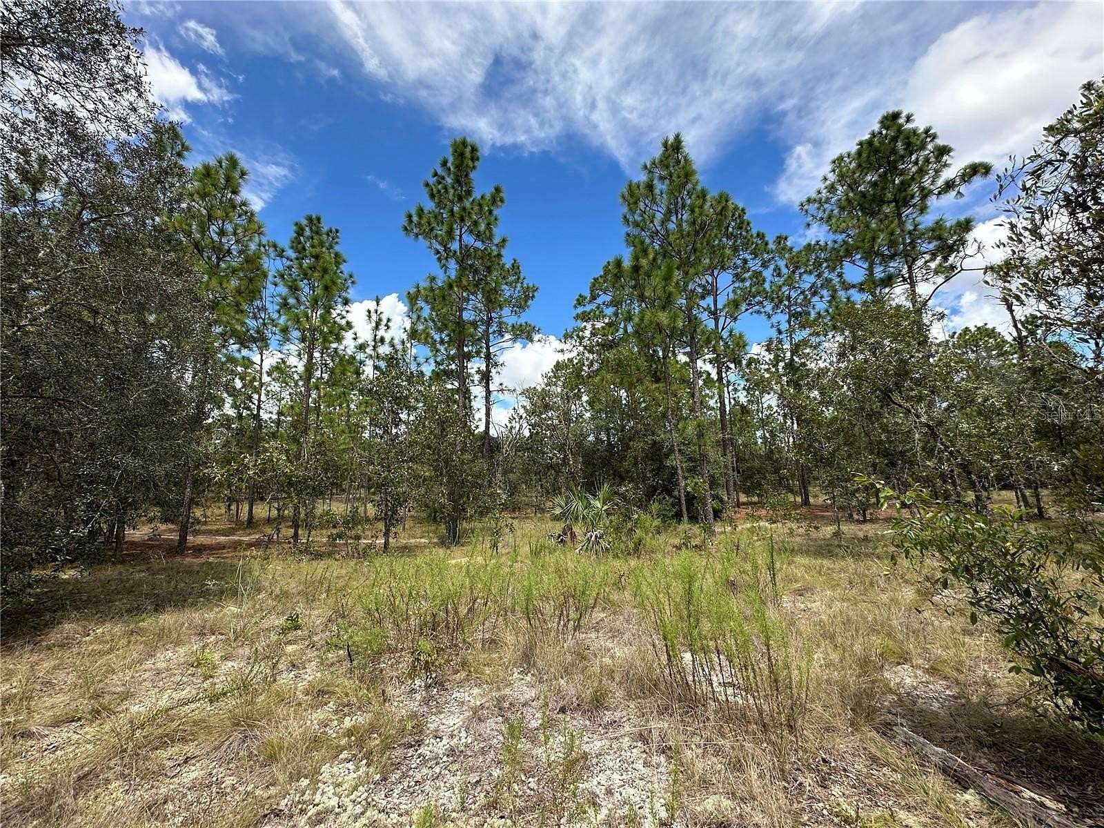 1 Acre of Residential Land for Sale in Dunnellon, Florida