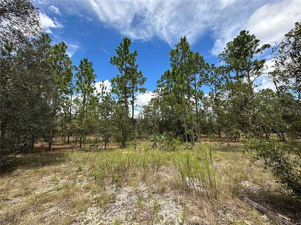 1 Acre of Residential Land for Sale in Dunnellon, Florida