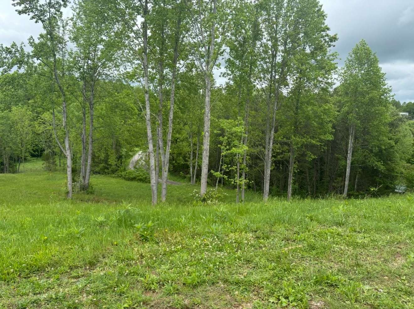 3.79 Acres of Residential Land for Sale in Moss, Tennessee