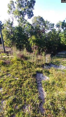 0.73 Acres of Residential Land for Sale in Elgin, South Carolina