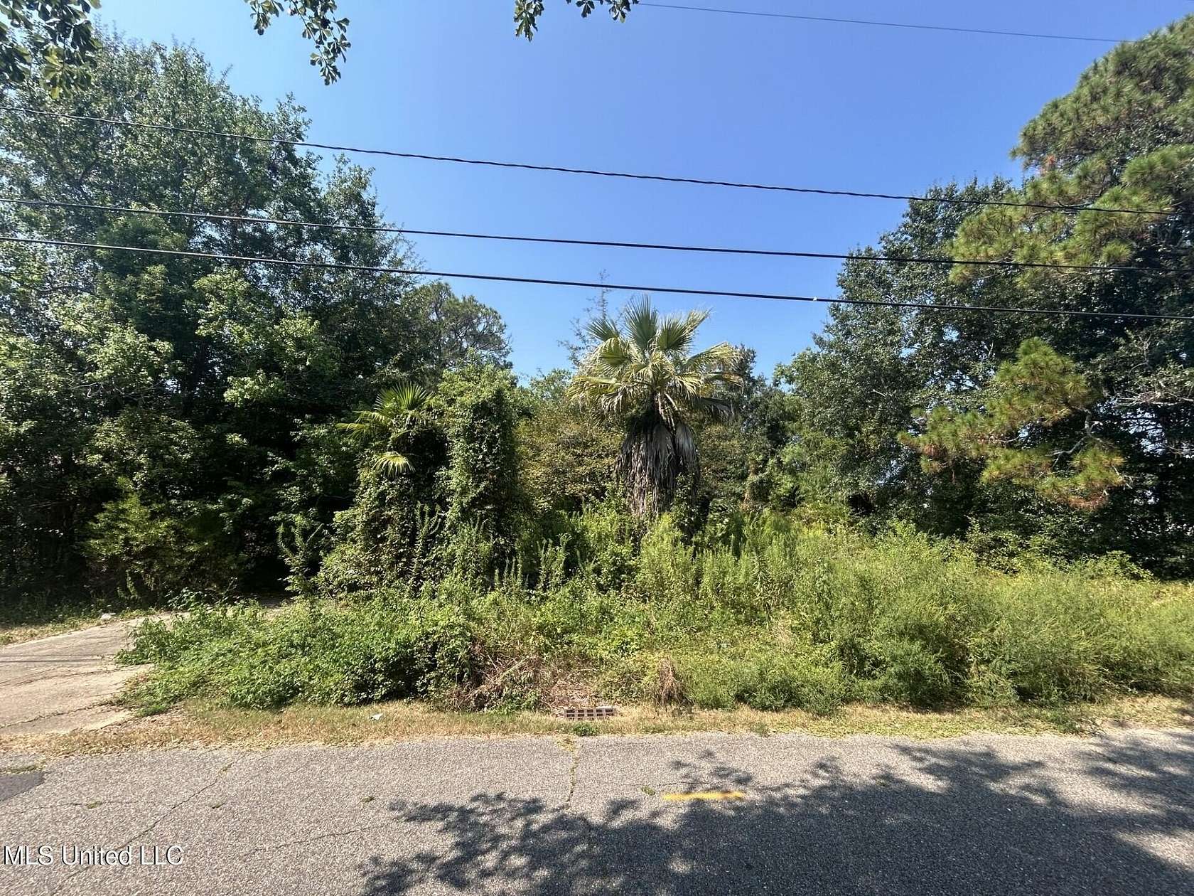 0.54 Acres of Mixed-Use Land for Sale in D'Iberville, Mississippi