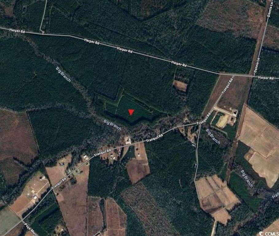 46.8 Acres of Land for Sale in Conway, South Carolina