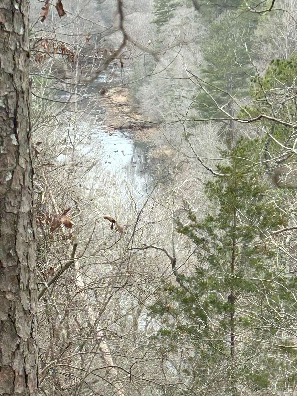 47 Acres of Recreational & Residential Land for Sale in Murfreesboro, Arkansas